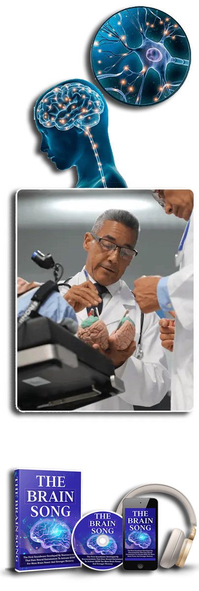 who created the brain song